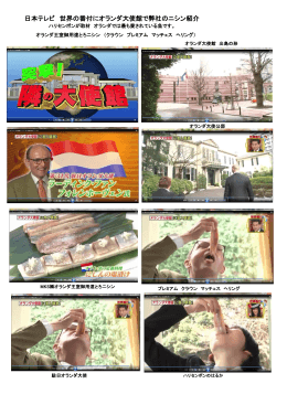 日本テレビ 世界の番付にオランダ大使館で弊社のニシン紹介