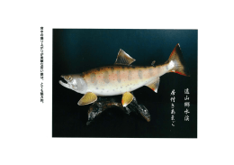 背中の盛り上がりが素敵な若い雄は、とても 魅 力的。