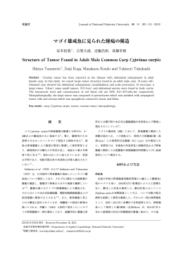 マゴイ雄成魚に見られた腫瘍の構造