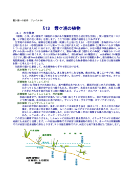 §13 霞ケ浦の植物 - 茨城県霞ケ浦環境科学センター