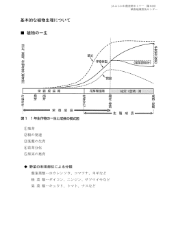 基本的な植物生理について 植物の一生