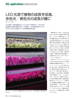 LED光源で植物の成長を促進、 赤色光／青色光の波長が鍵に