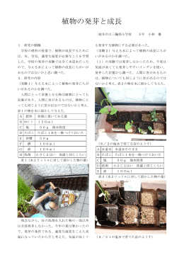 植物の発芽と成長