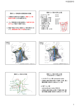 頸部リンパ節 転移の有無 2