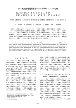 ナノ流路作製技術とバイオデバイスへの応用