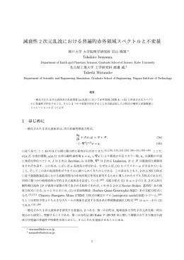 減衰性 2 次元乱流における普遍的赤外領域スペクトルと不変量