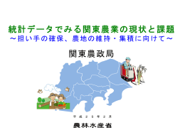 統計データでみる関東農業の現状と課題（PDF：792KB）