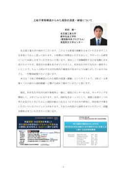 土粒子骨格構造からみた堤防の浸透・破壊について