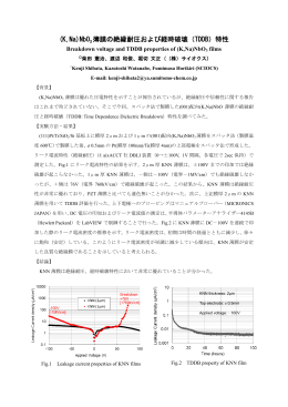 (K,Na)NbO3 薄膜の絶縁耐圧および経時破壊（TDDB）特性