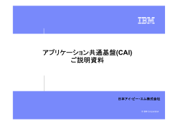 アプリケーション共通基盤 (CAI) ご説明資料