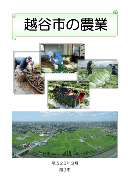 『越谷市の農業』（PDF：3222KB）