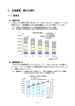本県農業・農村の現状（PDF：216KB）
