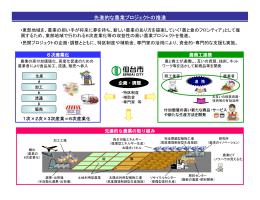 先進的な農業プロジェクトの推進について（PDF:295KB）