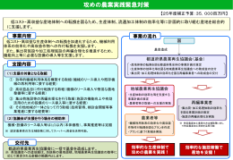 攻めの農業実践緊急対策