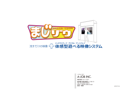 体感型遊べる映像システム