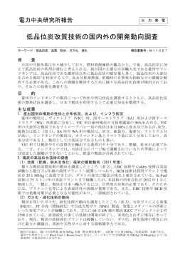低品位炭改質技術の国内外の開発動向調査