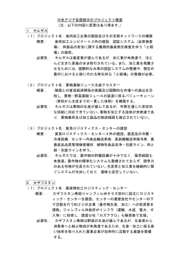 各国提示のプロジェクト（PDF）