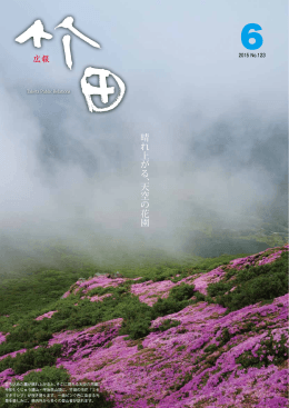 晴れ上がる、天空の花園