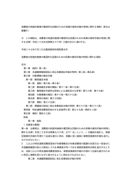 消費者の財産的被害の集団的な回復のための民事の裁判手続