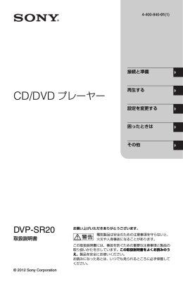 CD/DVD プレーヤー