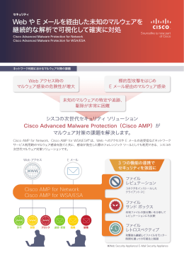 Web や E メールを経由した未知のマルウェアを継続的な解析で