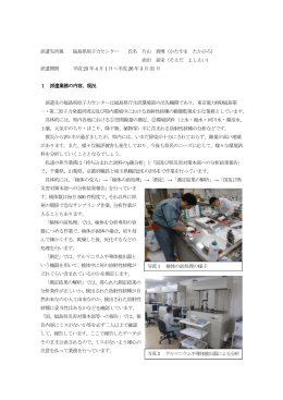原子力センター福島分析室（PDF：456KB）
