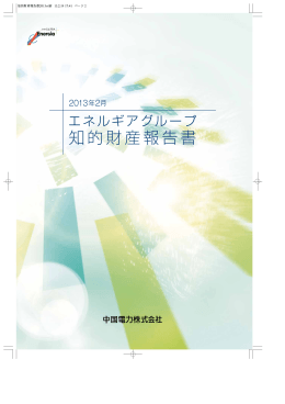 知的財産報告書
