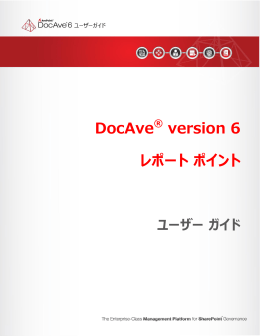 DocAve version 6 レポート ポイント