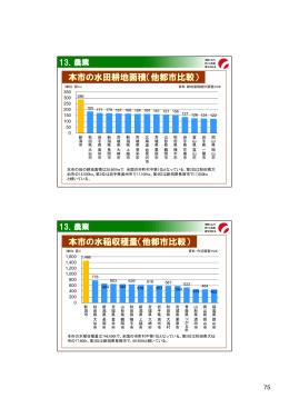本市の水田耕地面積（他都市比較） 本市の水稲収穫量（他都市比較）