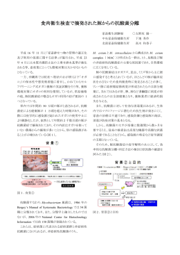 食肉衛生検査で摘発された豚からの抗酸菌分離（PDF：446KB）