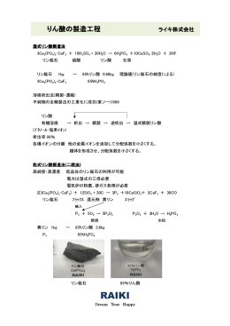 りん酸の製造工程 - ライキ株式会社