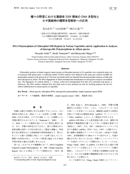種々の野菜における葉緑体 SSR 領域の DNA 多型性と ネギ