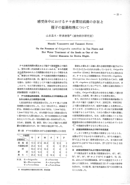 感受体申におけるチヤ赤葉枯病菌の存在と 種子の温湯処理について