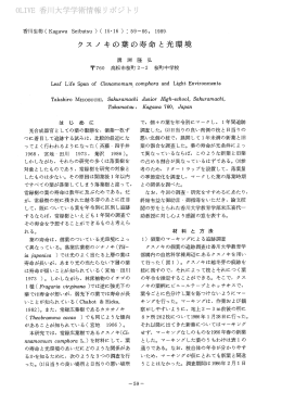 クスノ キの葉の寿命と光環境