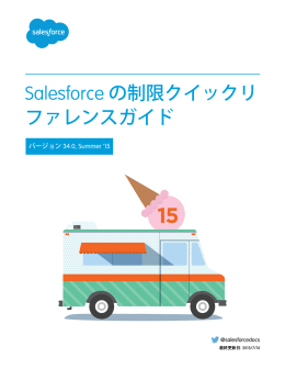 Salesforce の制限クイックリファレンスガイド