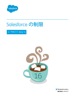 Salesforce の制限 - Salesforce.com