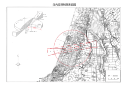 庄内空港制限表面図