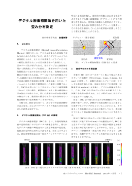 デジタル画像相関法を用いた 歪み分布測定