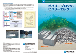 ビバリーブロック・ ビバリーロック