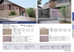 レッジロック100/200