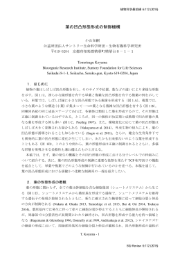 葉の凹凸形態形成の制御機構