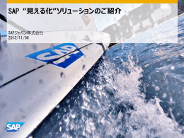 SAP &ldquo;見える化&rdquo;ソリューションのご紹介