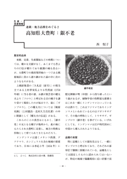 高知県大豊町：銀不老