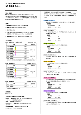 MS 用銀染色キット