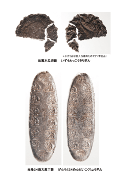 銀貨幣資料写真（732KByte）