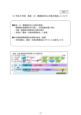 (4)平成 23 年度 農地・水・環境保全向上対策の見直しについて