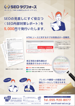 SEOの見直しにすぐ役立つ 〈 SEO内部対策レポート 〉を 5,000円で発行