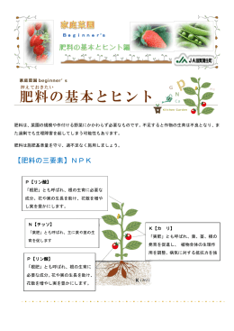 【肥料の三要素】NPK