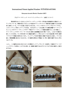 カタヤマ アコースティックーエレクトリック チャンバー へ