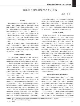 深部地下油層環境のメタン生成